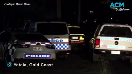 Third Dog Attack in One Week Injures 3-Year-Old Girl in Queensland 🐶