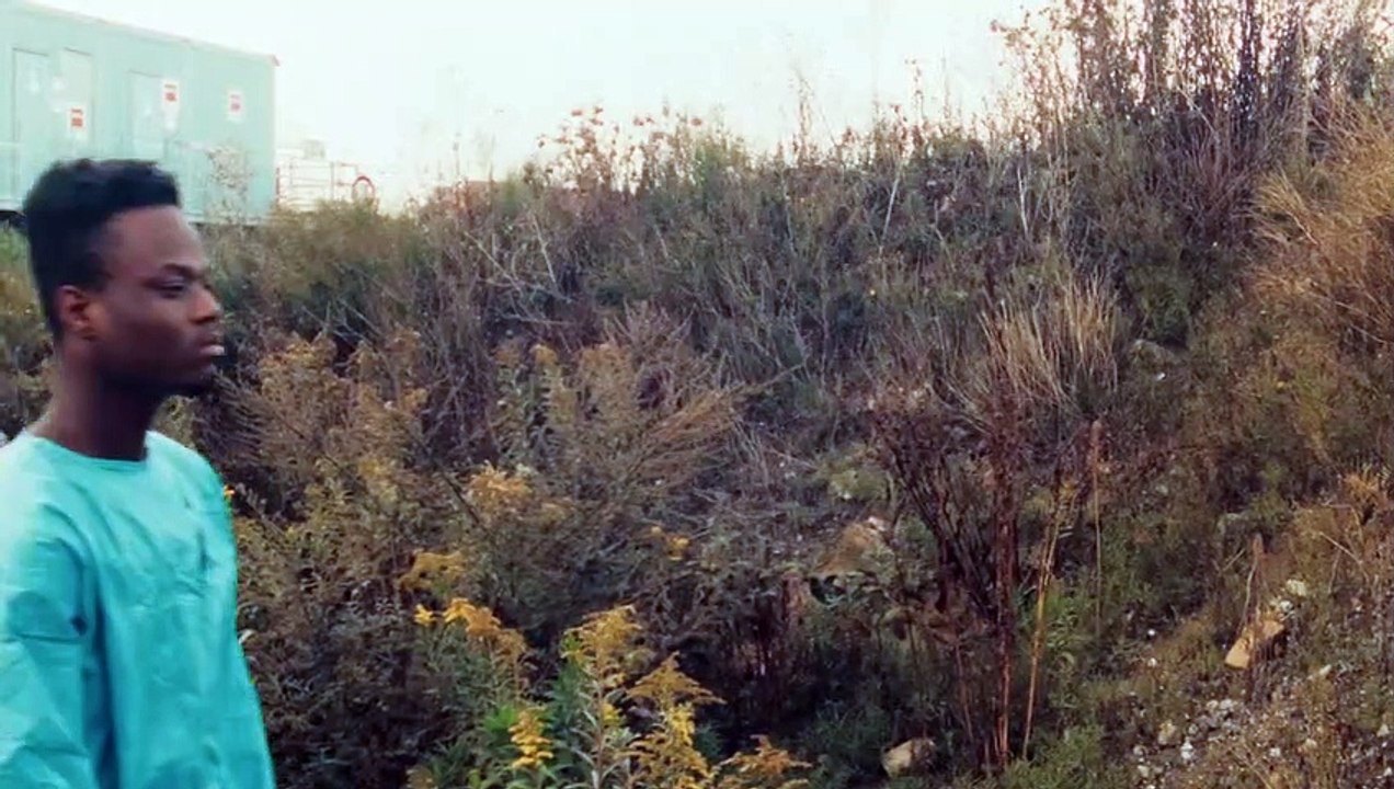 The Miro Project | movie | 2023 | Official Trailer