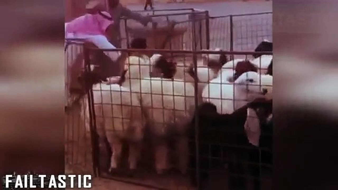 Arabic Funny Video Collection -- Failtastic 2023