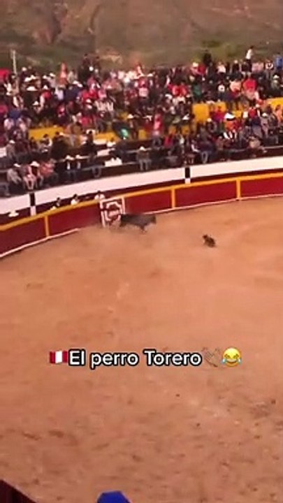 Canino se lució en plaza de toros