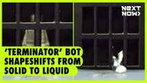 Terminator’ bot shapeshifts from solid to liquid | Next Now