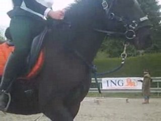 Concours de trec HP