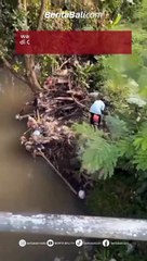 Seorang warga kedapatan membuang sampah sembarangan di Gang Nakula, Banjar Pelambingan, Canggu, Rabu (12/4) kemarin.