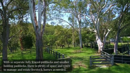 Morning Star, Mothar Mountain, Qld - April 13, 2023 - Farmonline