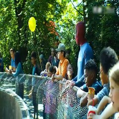 Best Top movie on Netflix 2023 #movie #movies #netflix