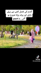 مرشد میں صدقے جاؤں قربان