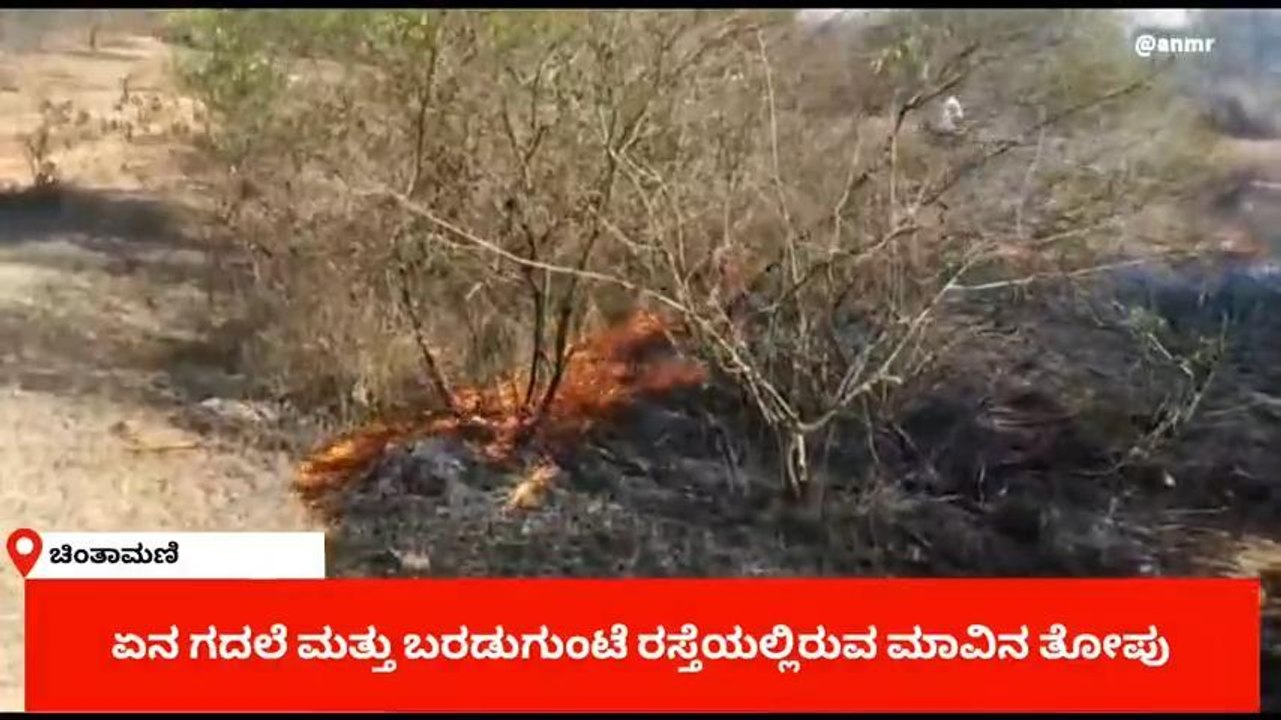 ಚಿಂತಾಮಣಿ : ಮಾವಿನ ತೋಪಿಗೆ ಬೆಂಕಿ ಅಪಾರ ನಷ್ಟ