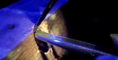 Waking the Dead S01 E09