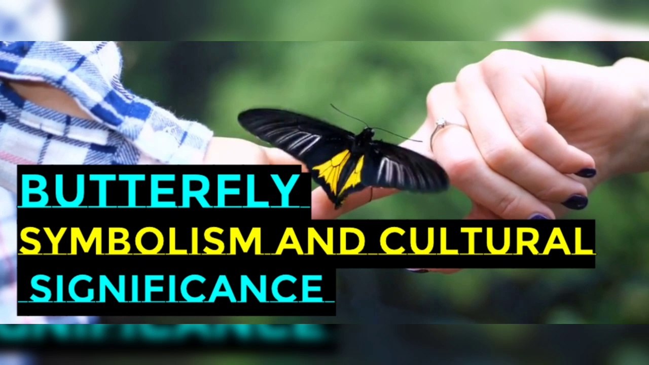 Butterfly Symbolism and Cultural Significance I Butterfly spirituality