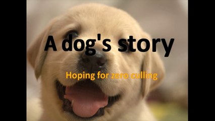 A dog's story