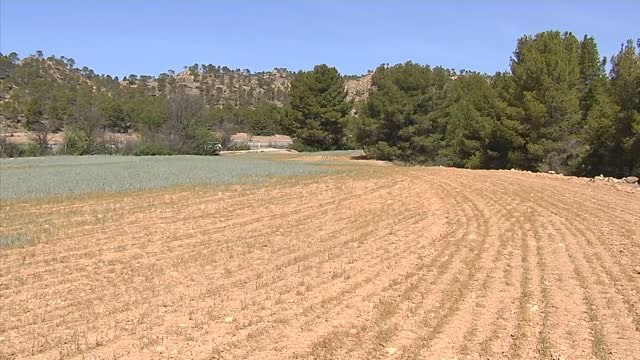 Agricultura convoca de urgencia a Cooperativas agroalimentarias, comunidades de regantes y autonomías ante la preocupante sequía