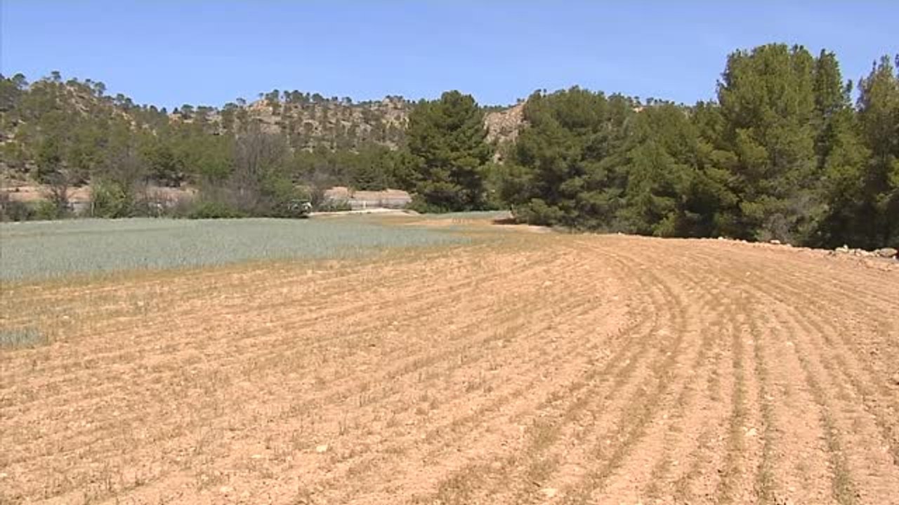Agricultura convoca de urgencia a Cooperativas agroalimentarias, comunidades de regantes y autonomías ante la preocupante sequía