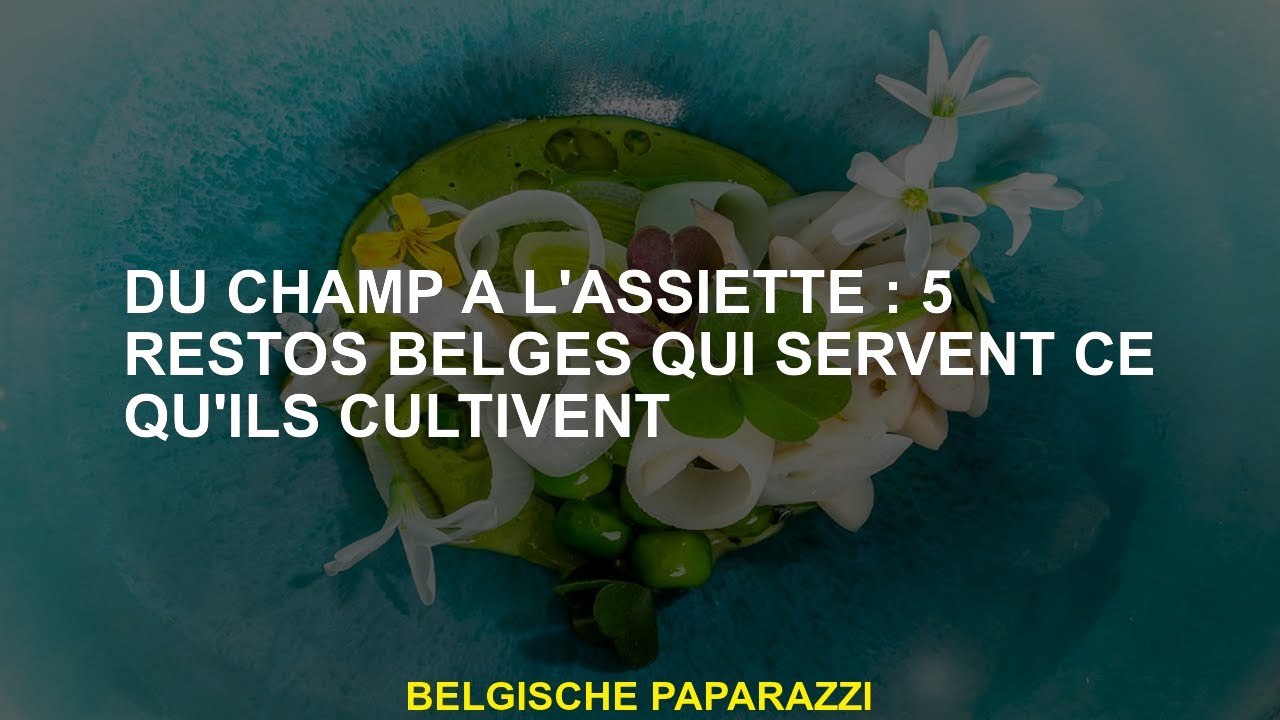 Du champ à l'assiette : 5 restos belges qui servent ce qu'ils cultivent