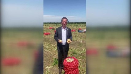 Yüreğir Ziraat Odası Başkanı Doğan: "Bayramdan Sonra Soğan Fiyatlarının Düşeceğini Bekliyoruz.
