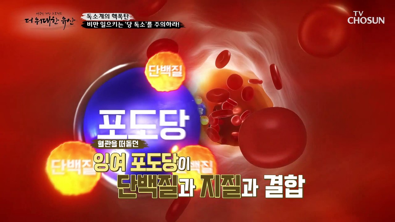 비만과 각종 질병의 씨앗이 되는 이유인 ‘당 독소’ TV CHOSUN 230413 방송