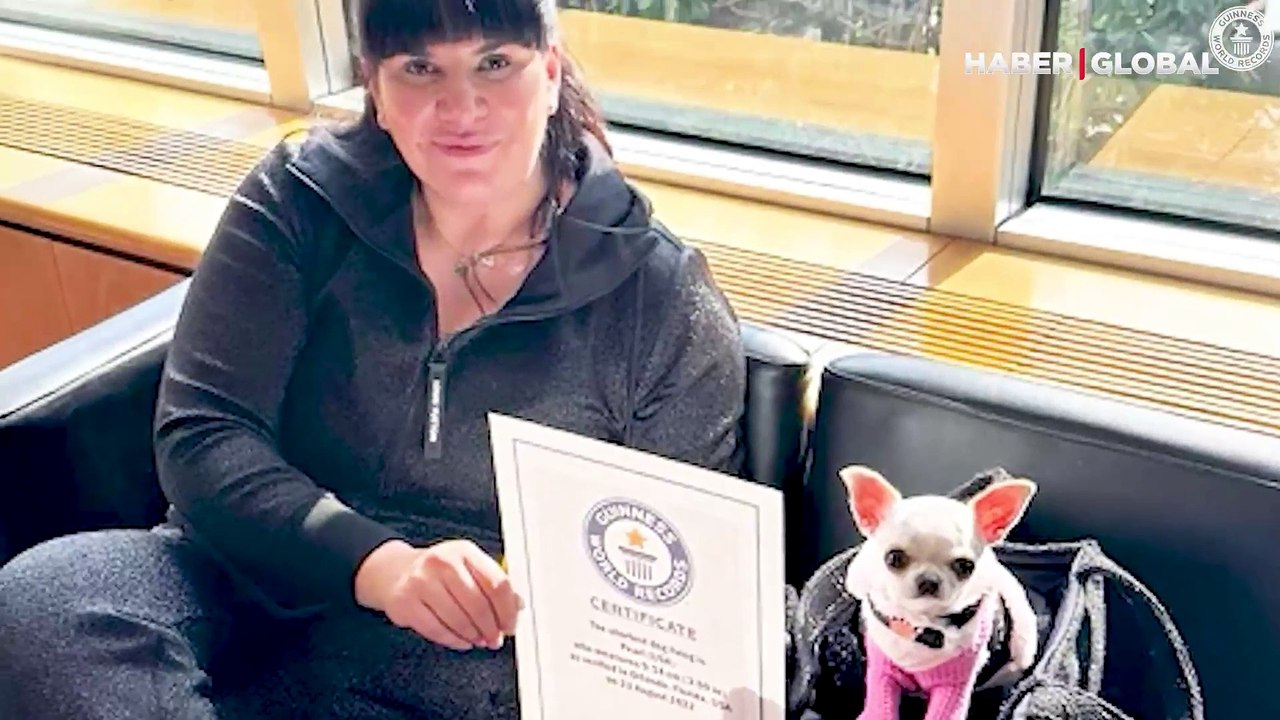 Dünyanın en kısa köpeği Guinness Rekorlar Kitabı’na girdi: Sadece 9 santimetre
