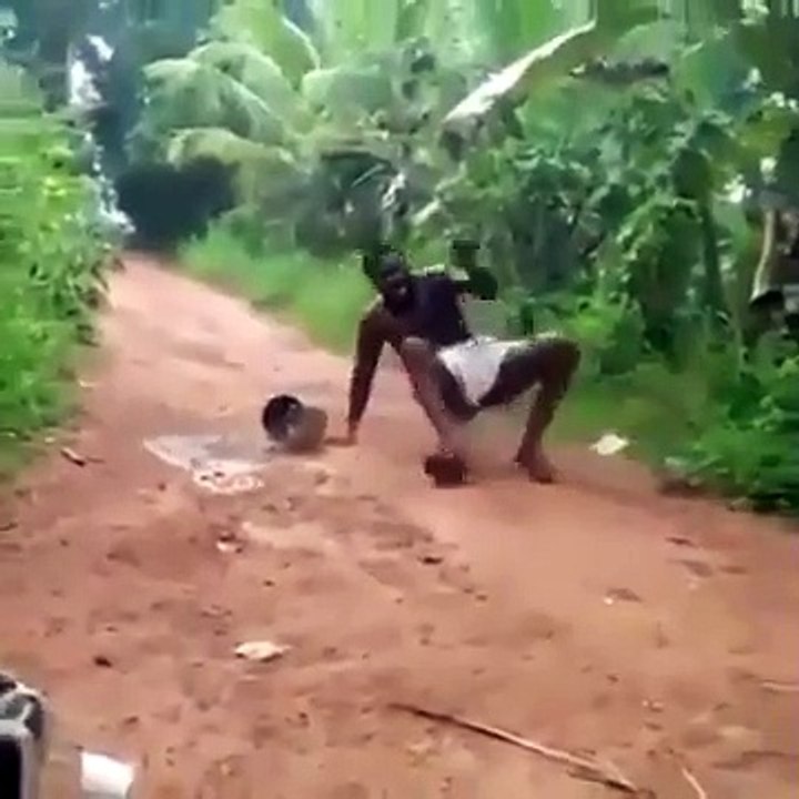 Paambu comedy video Funny snake video