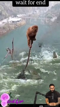 Tranding Tranding Videos Today Tranding Shorts #tranding #trandingshorts #shorts #viral 13-4-23