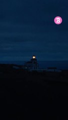 A l'affiche : Loup & Chien