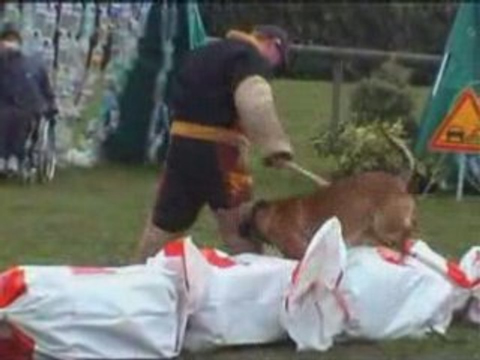 Chateau gontier NVBK