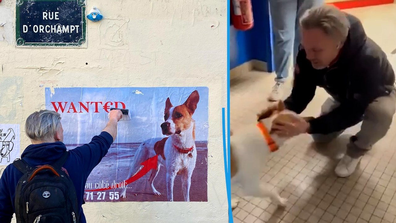 « On a enfin  Bayou » : plus d’un mois après le vol, Nicolas a retrouvé son chien