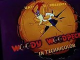 Woody Woodpecker Woody Woodpecker E018 – Bathing Buddies