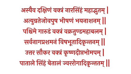 Panchamukhi-Hanuman-Kavach-पंचमुखी-हनुमा_267