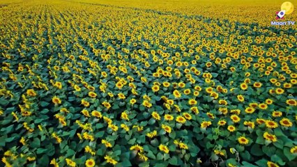 Meditation music for inner peace