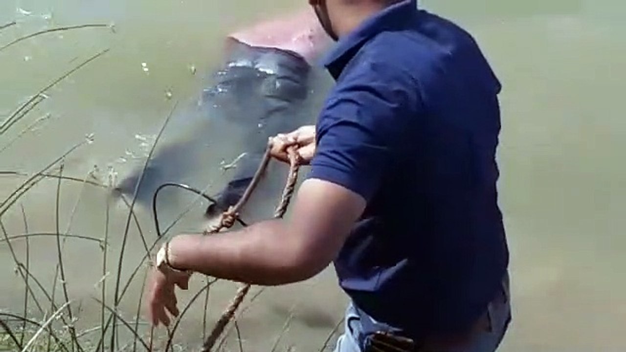 mandsaur vedio