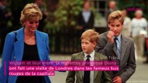 Prince Harry : la princesse Diana l'a giflé en public pour un comportement inadmissible