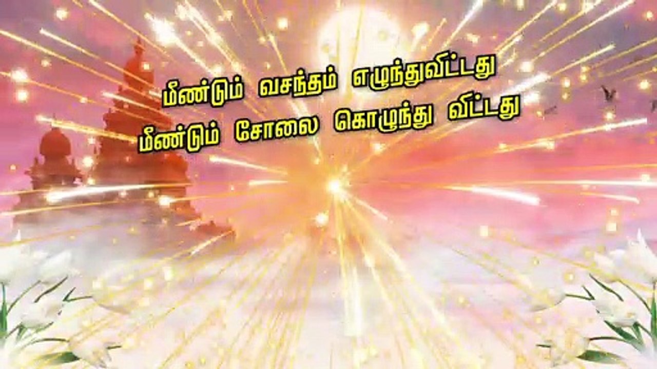 தமிழ் புத்தாண்டு நல்வாழ்த்துக்கள்✨️ Tamil New year whatsapp status tamil #tamilnewyear #whatsappstatus