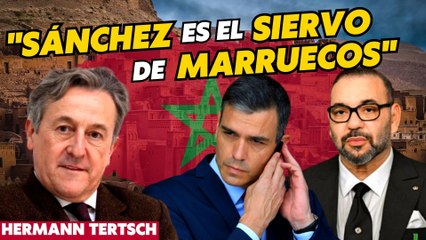  Hermann Tertsch barre a Pedro Sánchez por bajarse los pantalones: "Es el siervo de Marruecos" 