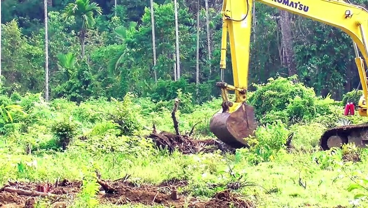 Field Construction Art: Guide to Building a Soccer Field with an Excavator || PC 195 LC