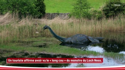 Un homme affirme avoir vu le ‘long cou’ du monstre du Loch Ness !