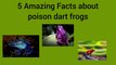 5 Amazing Facts about Poison Dart Frogs