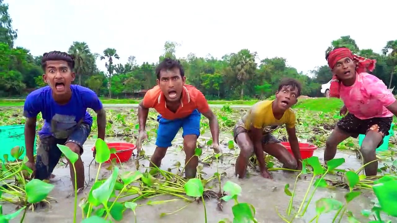 Funny Video Clip-Comedy Junction