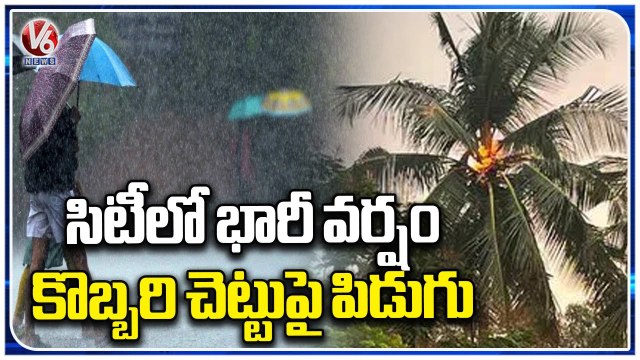 Heavy Rain Hits Hyderabad City, Lightning Strike Burns Coconut Tree _ V6 News (2)