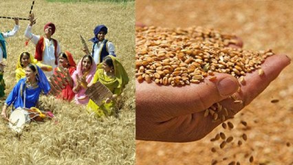 Baisakhi 2023: बैसाखी पर इस बार करें ये उपाय, संवर जाएगी किस्मत | Boldsky