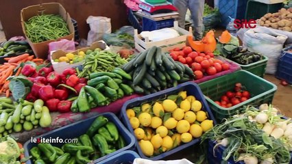 انخفاض نسبي في أسعار الخضر وارتفاع في أثمنة السمك بطنجة