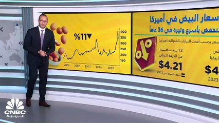 أسعار البيض في أميركا تنخفض بأسرع وتيرة في 36 عاماً