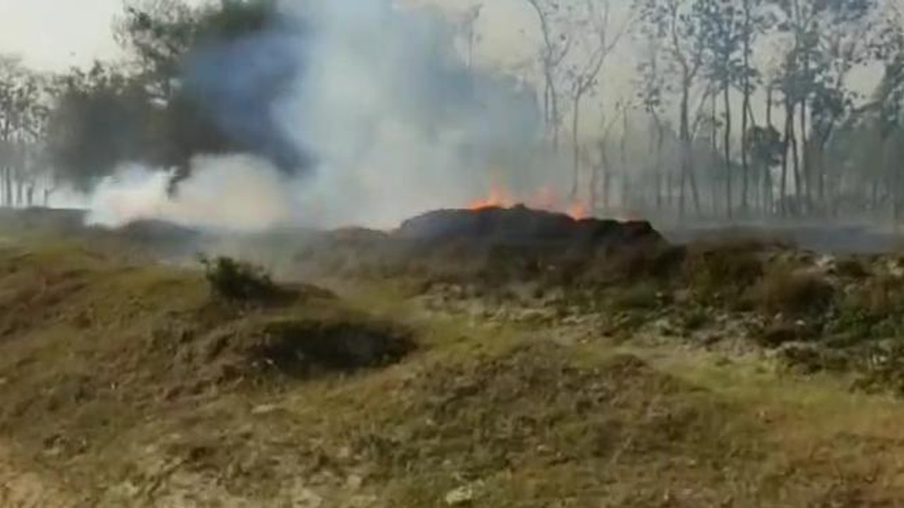महराजगंज: आग ने मचाया तांडव, दर्जनों घरों के साथ खेतों में खड़ी फसल जल हुई खाक