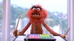 Official Trailer for Disney+'s The Muppets Mayhem