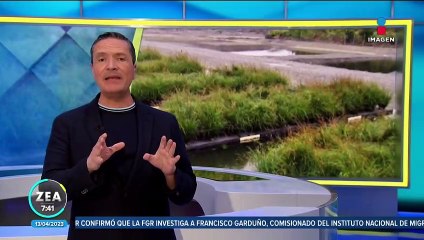 Humedales artificiales se volvieron una solución a los problemas de agua en Cuajimalpa