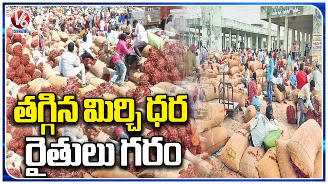 Mirchi Rates Falls Down In Warangal Enumamula Market Yard | V6 News