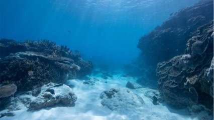 Scientists discover the ocean floor is leaking and it's pretty disturbing