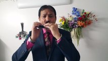 Yad Lagla - Film Sairat 2016 on Harmonica Live Performance by Mukund Kamdar