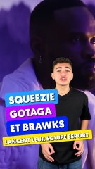 Squeezie Gotaga et Brawks lancent leur équipe Esport ! 