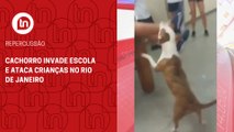 Cachorro invade escola e ataca crianças no Rio de Janeiro