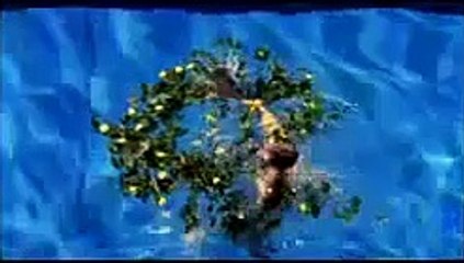 L'Homme que j'aime Bande-annonce (EN)