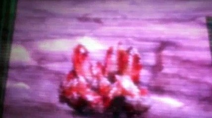 Transformers Prime Season 2 Episode 18 New Recruit